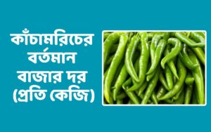 বর্তমান বাজারে কাঁচামরিচের দাম কত?